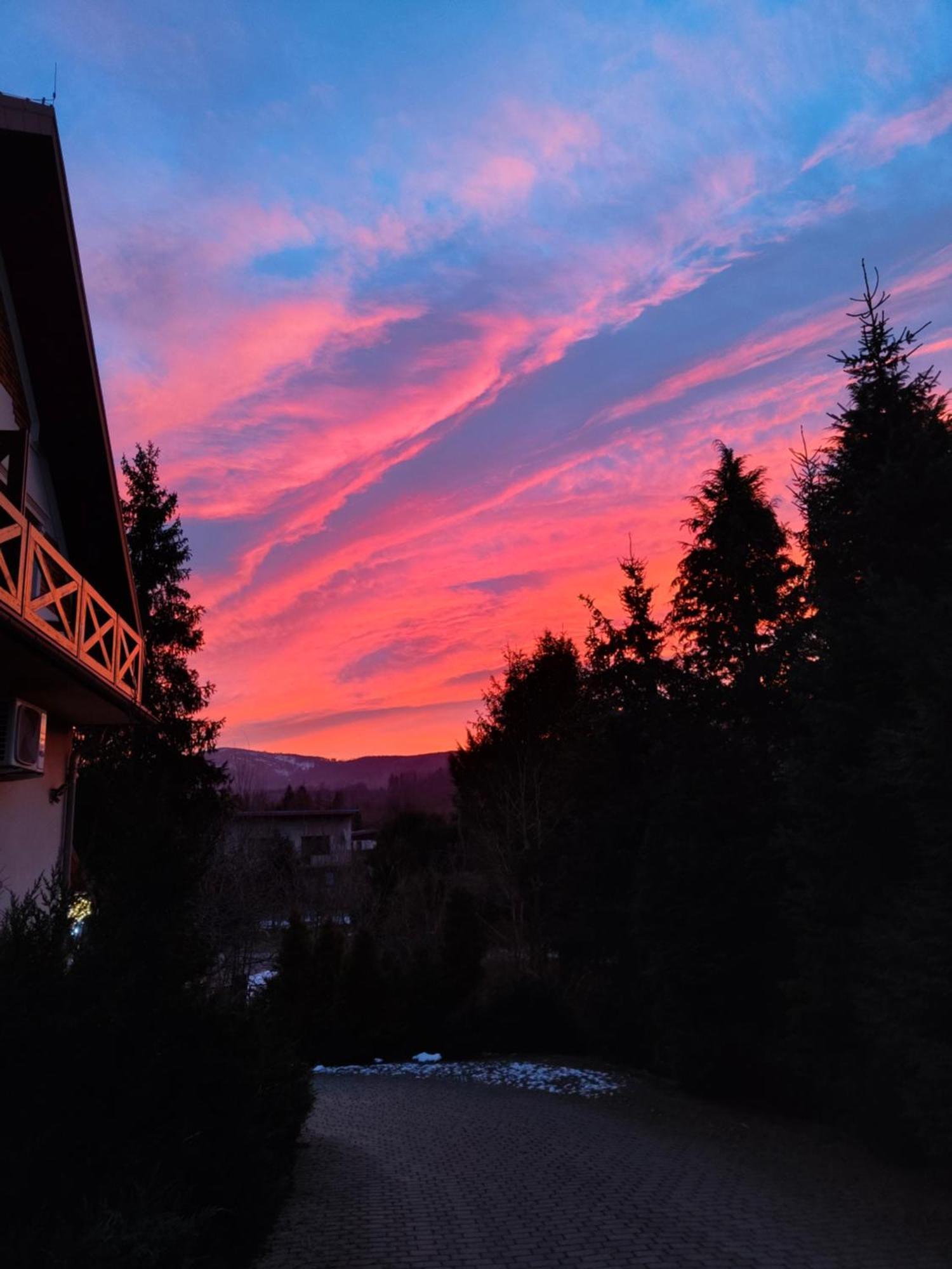 Beskid Ski Villa Wisła Eksteriør billede