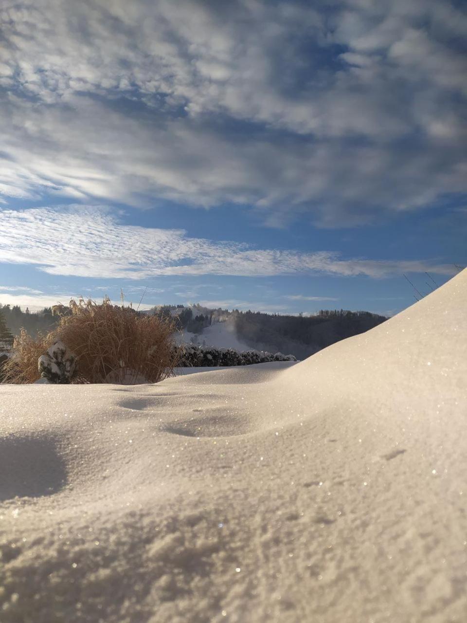 Beskid Ski Villa Wisła Eksteriør billede